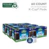 imageGreen Mountain Coffee Roasters Original Black Iced Cold Brew Coffee Single Serve Keurig KCup Pods 20Count BoxCold Brew