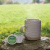 imageGreen Mountain Coffee Roasters Caramel Vanilla Cream Keurig SingleServe KCup pods Light Roast Coffee 72 CountBrown Sugar Crumble