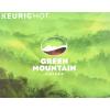 imageGreen Mountain Coffee Roasters ICED Classic Black Single Serve Keurig KCup Pods Medium Roast Iced Coffee 96 CountFrench Roast