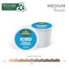 imageGreen Mountain Coffee Roasters ICED Classic Black Single Serve Keurig KCup Pods Medium Roast Iced Coffee 96 CountVanilla Caramel